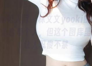 Xiuren秀人网 – 林文文yooki的网袜，不一定适合每个人，但这个图库里的精选让人忍俊不禁