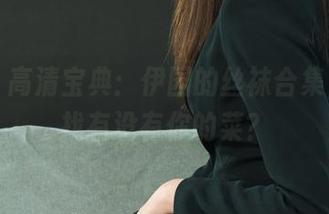 丽柜 – 高清宝典：伊园的丝袜合集，快找找有没有你的菜？