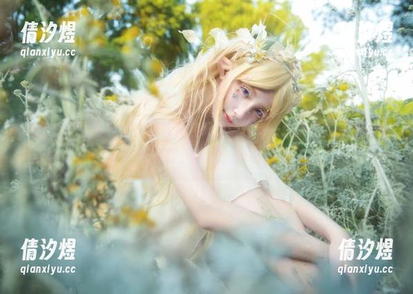 私房紫罗兰图包，在下萝莉控ii分享的每一张都像是在和花瓣们打招呼，哈哈，我也想！