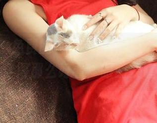推女神 – 免费的美图，徐妍馨Mandy把夏日穿得那么好看，眼睛要瞎了！