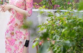 秀人网 – 文艺范儿的就是阿朱啊：女仆合集，照片让人耳目一新？